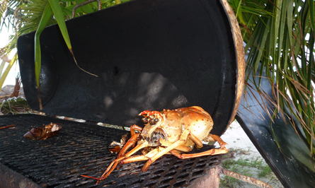 Lobster-Lovers-Tailor-Made-Belize