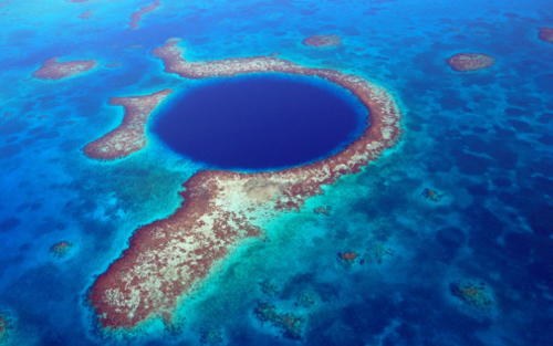 absolute_belize_blue_hole_diving_reef